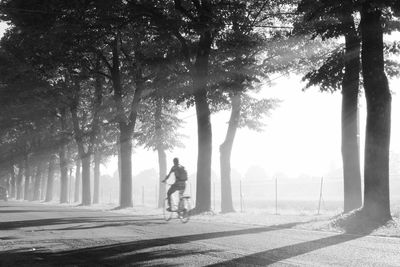 Man walking on road