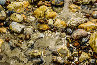 Full frame shot of pebbles on beach
