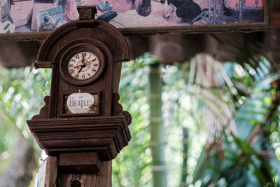 Low angle view of clock hanging on tree