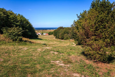 Scenic view of trees by sea against sky