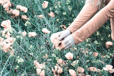 Close-up of hands holding flowers on field