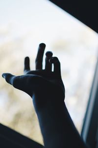 Close-up of human hand against sky