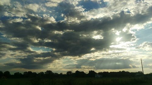 Silhouette trees on field against sky at sunset