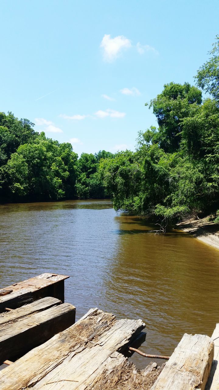 tree, water, tranquility, tranquil scene, lake, sky, nature, scenics, beauty in nature, growth, river, day, wood - material, sunlight, pier, outdoors, idyllic, no people, green color, rippled