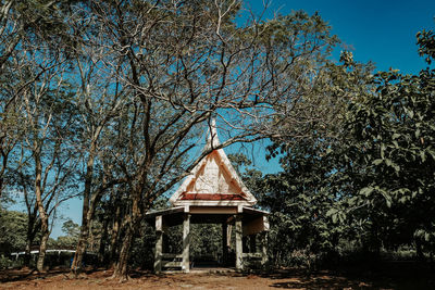 Trees in park against sky