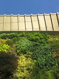 Plants growing in greenhouse against sky