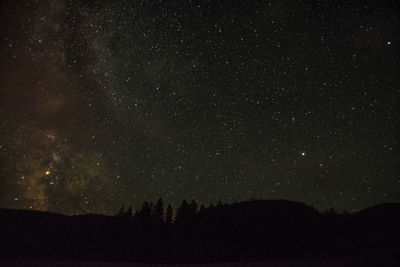 Low angle view of silhouette trees against sky at night