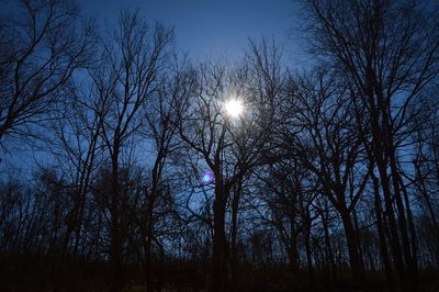 Low angle view of silhouette trees against sky