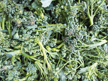 Close-up of vegetables in market