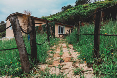 Wooden house amidst trees and plants against sky