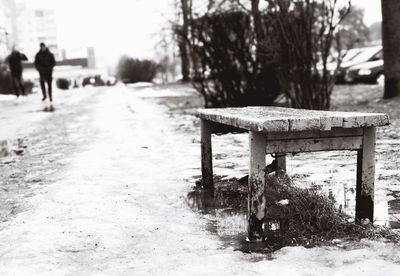 Bench on tree