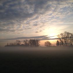 Bare trees on field against sky during sunset