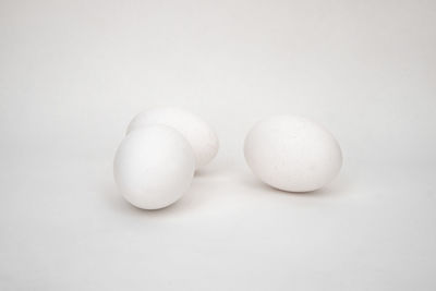 Close-up of eggs against white background