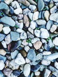 Full frame shot of pebbles