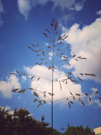 Low angle view of tree against blue sky