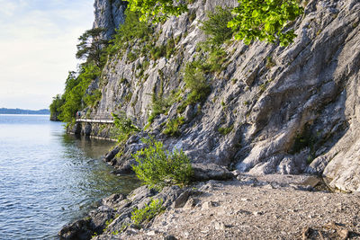 Plants growing on rocks by sea against sky