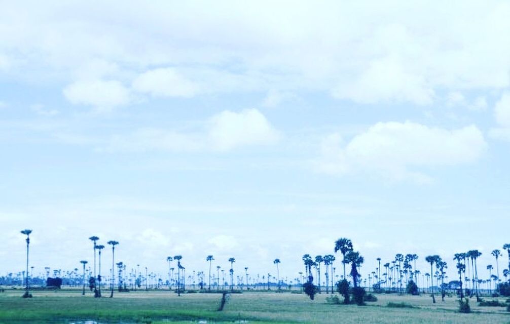 VIEW OF FIELD AGAINST SKY