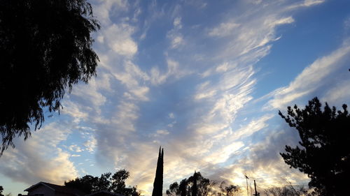 Low angle view of trees against cloudy sky
