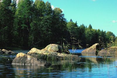 Scenic view of river by trees against clear sky