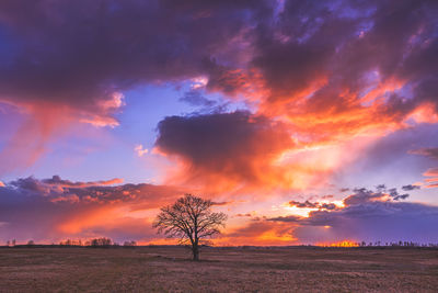 Scenic view of field against sky during sunset