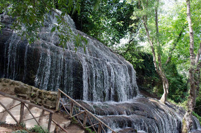 Low angle view of waterfall in forest