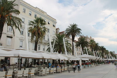 People relaxing on palm trees in city against sky