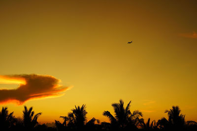 Low angle view of silhouette trees against orange sky