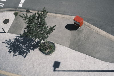 High angle view of plant on road