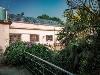 Plants and trees by building against sky