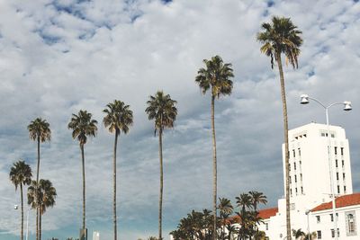 Low angle view of palm trees against cloudy sky