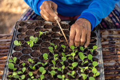 Midsection of woman doing plantation