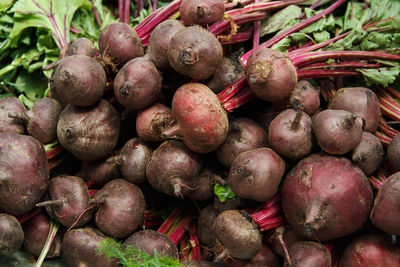 Full frame shot of pumpkins for sale at market stall