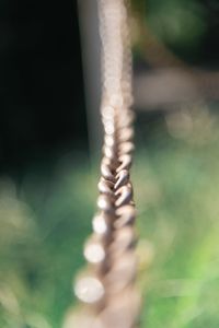 Close-up of water drop on field