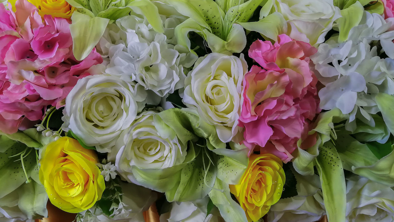 CLOSE-UP OF PINK ROSES