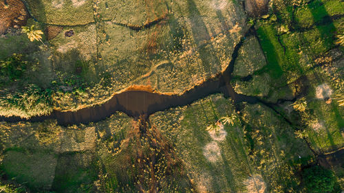 Aerial view of morogoro town