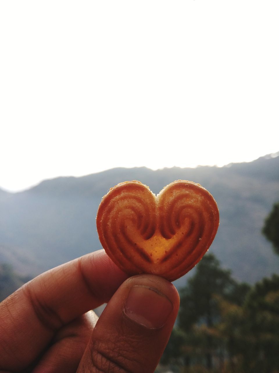 HAND HOLDING HEART SHAPE AGAINST SKY