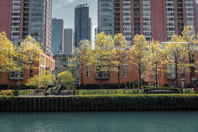 Plants growing by lake against buildings in city