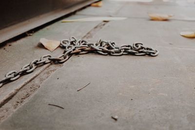 Close-up of chain