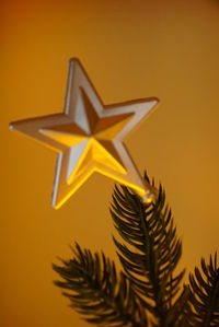 Close-up of yellow leaf against orange sky