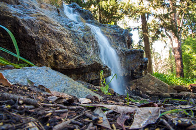 Close-up of waterfall in forest