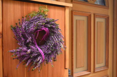 Close-up of purple flowering plant