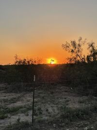 Scenic view of field against sky during sunset