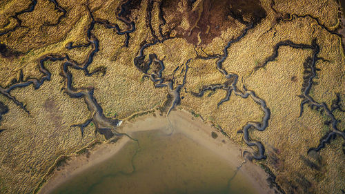 Aerial view of landscape