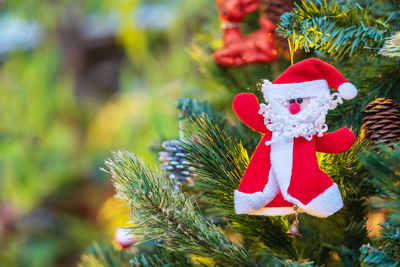 Close-up of christmas tree