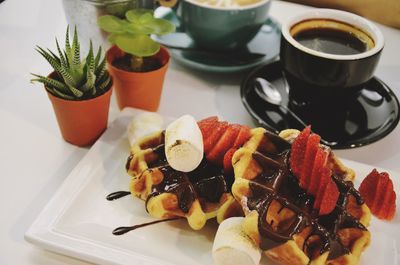 Close-up of food served in plate