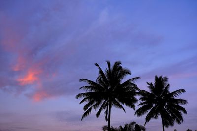 Low angle view of silhouette palm tree against sky at sunset