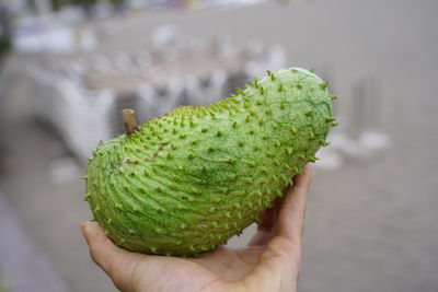 Close-up of hand holding fruit