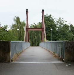 Narrow walkway along trees