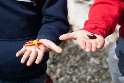 Midsection of children holding starfish and seashell