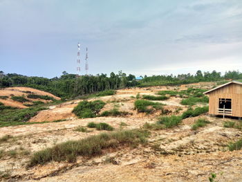 Plants growing on field against sky